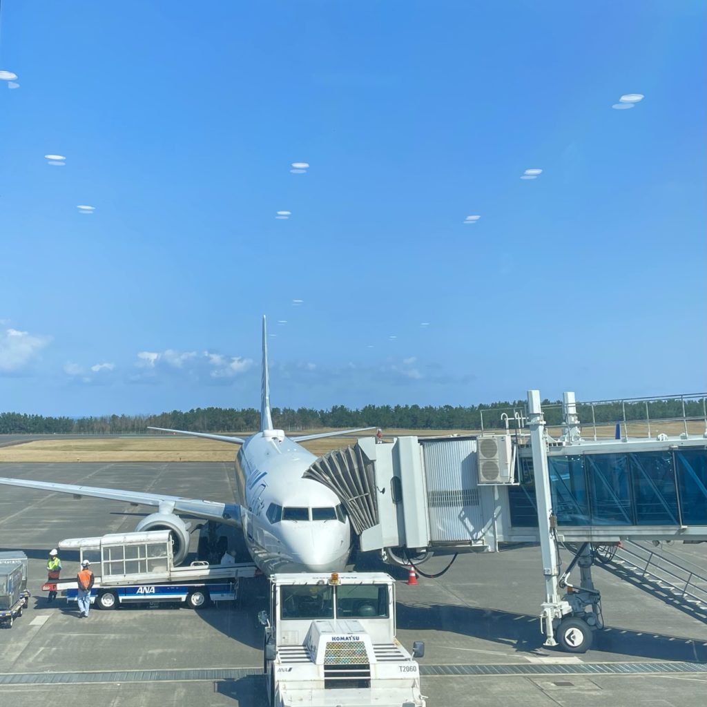 鳥取砂丘コナン空港内から見る飛行機