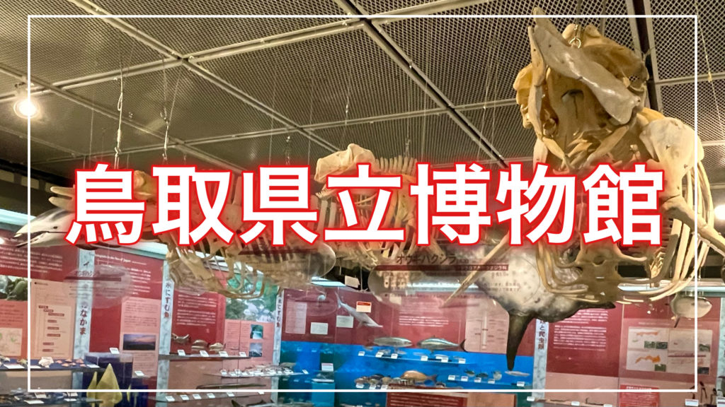 鳥取県立博物館の記事のトップ画面