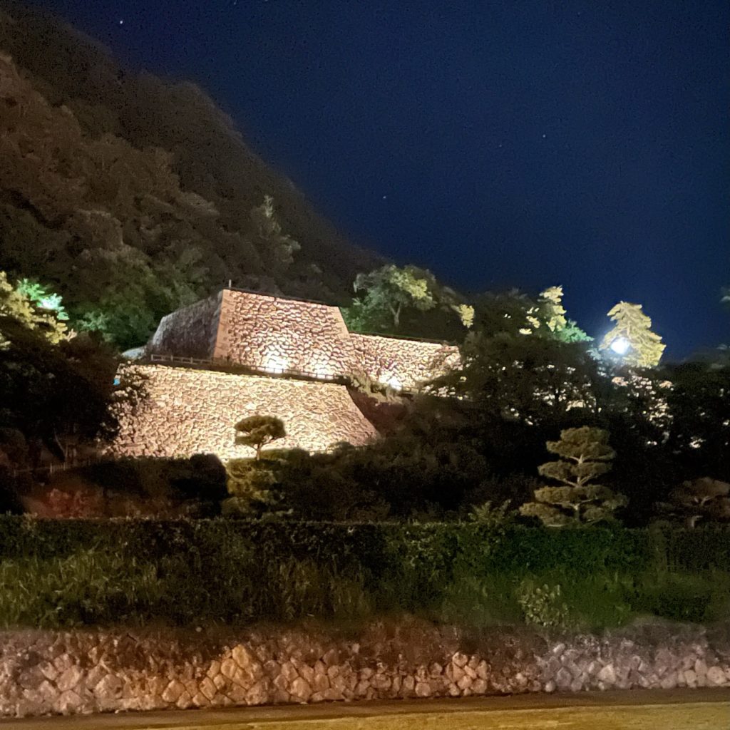 夜間ライトアップで照らされる鳥取城跡・久松公園