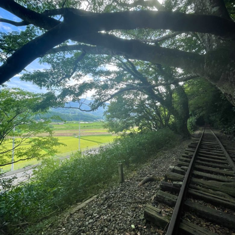 旧国鉄倉吉線廃線跡の木々に囲まれた廃線路