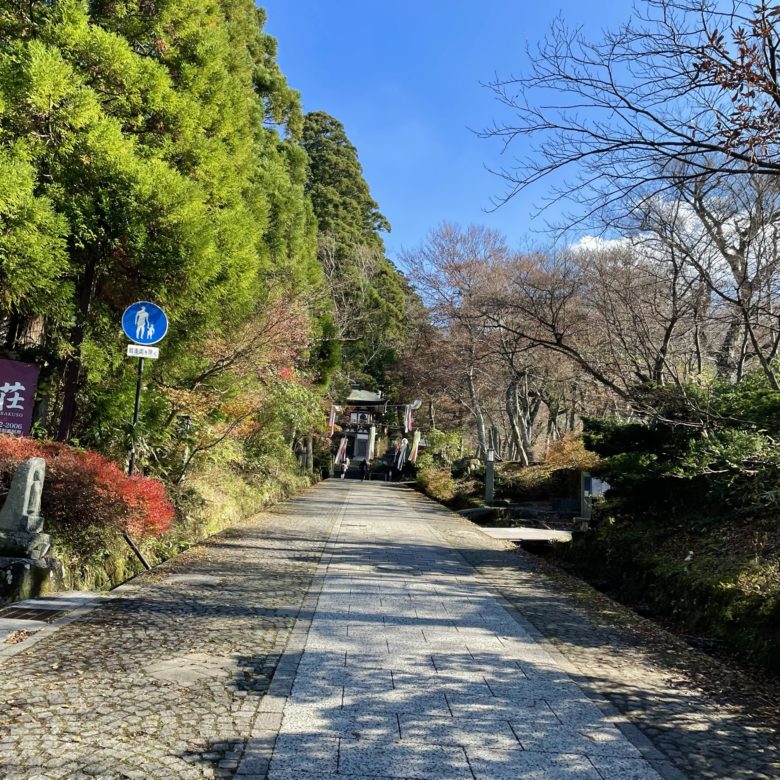 大山寺前の紅葉が咲き乱れる参道
