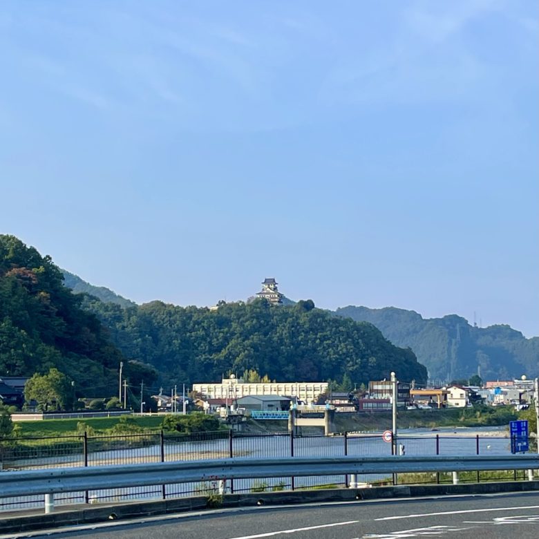 鳥取の道の駅清流茶屋かわはらから見える河原城