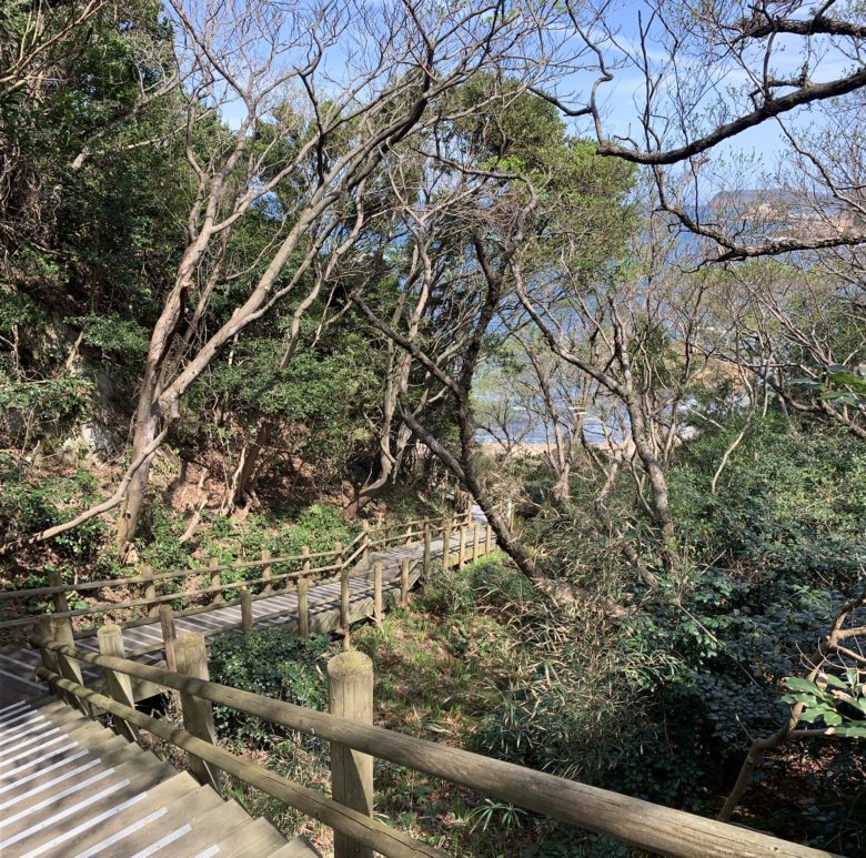 鳥取の城原海岸の木の遊歩道