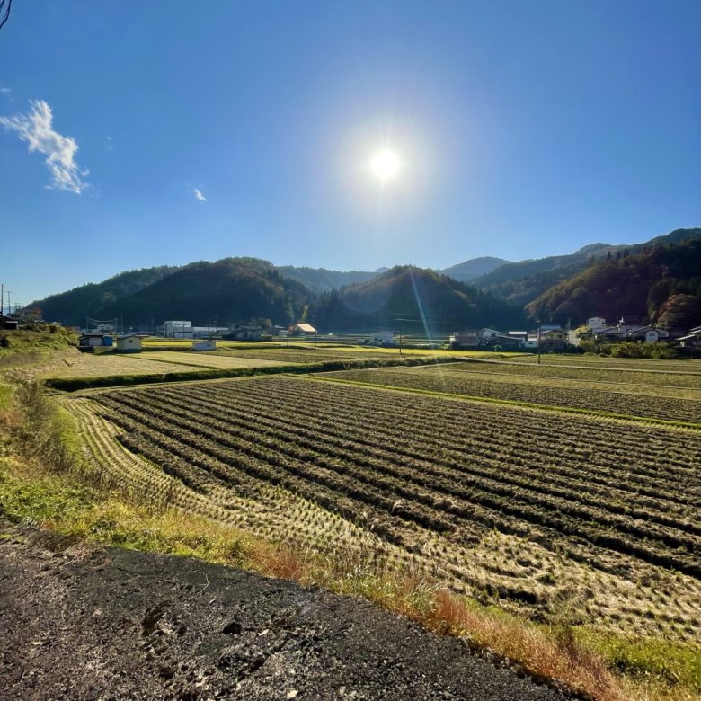 兵庫県香美町のお食事喫茶水舟の裏にある広大な畑