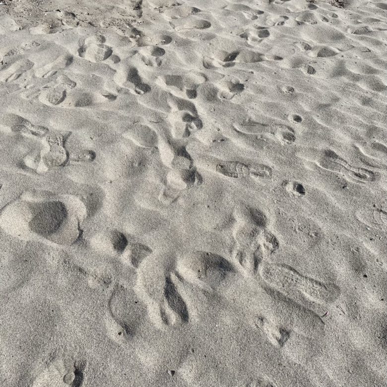 鳥取県米子市の弓ヶ浜海岸の白砂