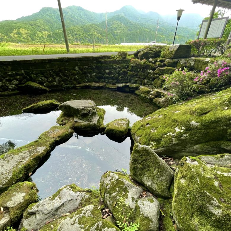 鳥取の布勢の清水の池と苔の生えた石