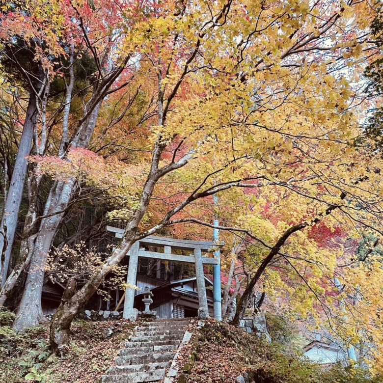 鳥取県八頭町の板井原集落の鳥居と紅葉