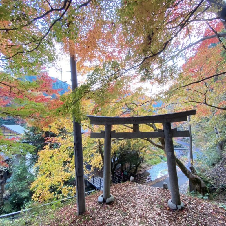 鳥取県八頭町の板井原集落の鳥居と紅葉