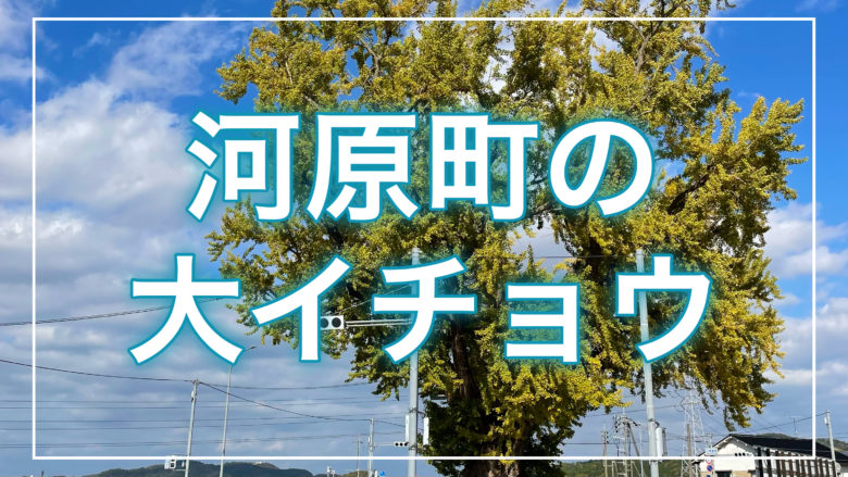鳥取とりっぷの河原町の大イチョウの記事のトップ画面